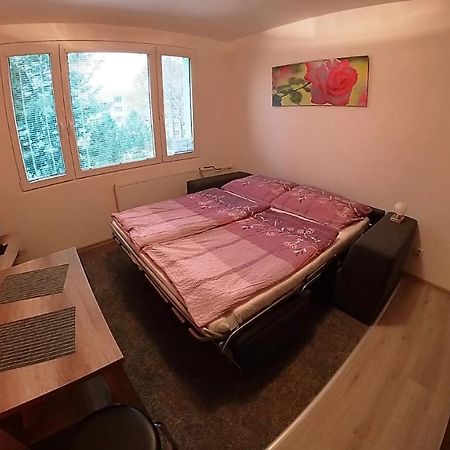 Ferienwohnung Garsonka Hlinik Třeboň Exterior foto