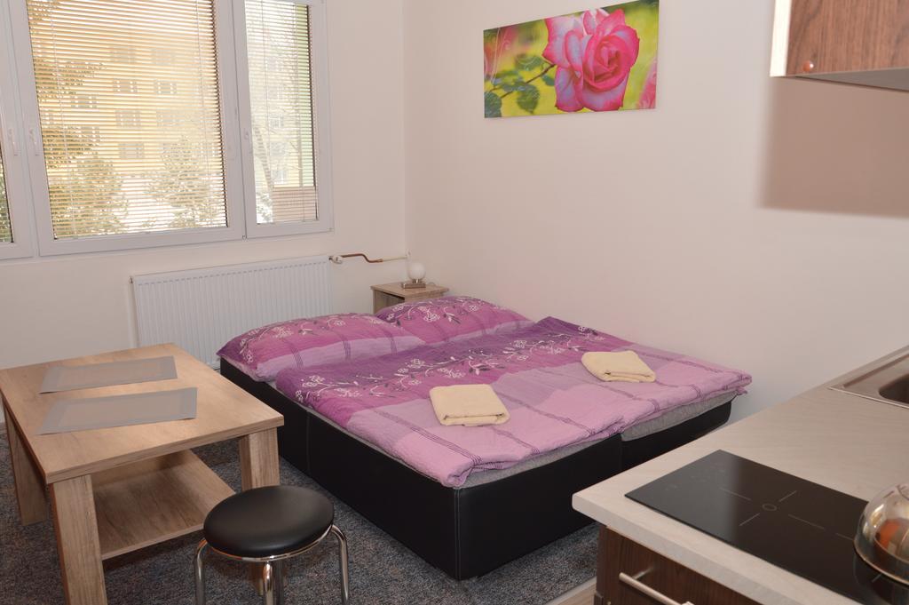 Ferienwohnung Garsonka Hlinik Třeboň Exterior foto